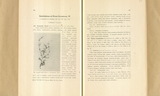 Contributiones and Floram Formosanam, IV.