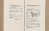 Description of a new species of Geometridae from Formosa