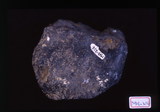 中文名稱:鐵礦(M03-214)