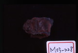 中文名稱:赤鐵礦(M03-228)