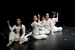 中文節目名稱:2008舞蹈春天：反射外文節目名稱:Reflex
