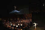 中文節目名稱:2009台灣國際藝術節：春之祭外文節目名稱:La Sacre du Printemps- Interactive 3-D media dance