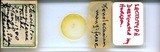 ǦW:Xenolecanium mangiferae Takahashi, 1942