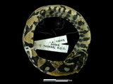 中文名:高砂蛇(00001281)學名:Elaphe mandarinus(00001281)英文名:Mandarian Rat Snake