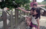 事件標題:台北木柵動物園（B-011...