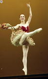 ƥD:趮Dp(Balletlina)PPRΡ]B-013-2257^