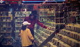 ƥD:iǧJ(Michael Jackson)ӥx]B-013-6217^