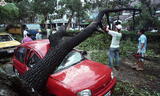 事件標題:颱風路樹壓垮路邊車輛（B-...