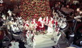事件標題:晶華飯店聖誕樹點燈儀式（B...