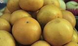 事件標題:春節水果供應：葡萄柚（B-...