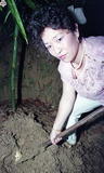 事件標題:挖竹筍（B-015-168...