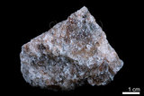 中文名:蒸發岩(NMNS002666-P004623)英文名:Evaporite(NMNS002666-P004623)