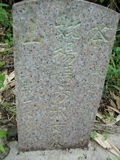 Tombstone of 楊 (YANG2) family at Taiwan, Jiayixian, Alishanxiang, Chashan (Chajama), near waterfall. The tombstone-ID is 991; 台灣，嘉義縣，阿里山鄉，茶山(珈雅瑪)，近瀑布，楊姓之墓碑。