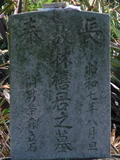 Tombstone of L (LIN2) family at Taiwan, Tainanxian, Shanshangxiang, Shanshangcun. The tombstone-ID is 1307; xWAxnAsWmAsWALmӸOC