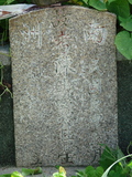 Tombstone of  (CHEN2) family at Taiwan, Tainanxian, Shanshangxiang, Shanshangcun. The tombstone-ID is 1339; xWAxnAsWmAsWAmӸOC