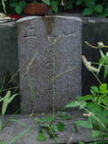 Tombstone of  (HUANG2) family at Taiwan, Tainanxian, Shanshangxiang, Shanshangcun. The tombstone-ID is 1359; xWAxnAsWmAsWAmӸOC