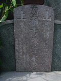 Tombstone of  (CHEN2) family at Taiwan, Tainanxian, Shanshangxiang, Shanshangcun. The tombstone-ID is 1399; xWAxnAsWmAsWAmӸOC