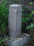 Tombstone of  (TIAN2) family at Taiwan, Tainanxian, Shanshangxiang, Shanshangcun. The tombstone-ID is 1463; xWAxnAsWmAsWAЩmӸOC