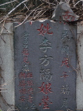 Tombstone of  (LI3) family at Taiwan, Tainanxian, Shanshangxiang, Shanshangcun. The tombstone-ID is 1465; xWAxnAsWmAsWAmӸOC