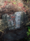Tombstone of unnamed person at Taiwan, Tainanxian, Xinshixiang, Dazhoucun, near highway 1. The tombstone-ID is 1111. ; xWAxnAsmAjwAD1ALW󤧹ӸO