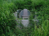 Tombstone of  (CHEN2) family at Taiwan, Tainanxian, Daneixiang, west, behind military camp. The tombstone-ID is 1007; xWAxnAjmAAxϡAmӸOC