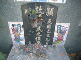 Tombstone of  (CHEN2) family at Taiwan, Gaoxiongxian, Luzhuxiang, Jiabeicun, 10th graveyard. The tombstone-ID is 13820; xWAA˶mAҥ_AQӶAmӸOC