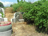 Tombstone of G (ZHENG4) family at Taiwan, Gaoxiongxian, Yanchaoxiang, graveyard behind Diyikejida, south of Gao 36. The tombstone-ID is 21726; xWAAP_mAĤ@ޤjǫA36unAGmӸOC