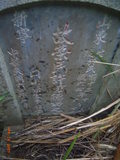 Tombstone of \ (XU3) family at Taiwan, Gaoxiongxian, Yanchaoxiang, Jiaosu. The tombstone-ID is 15690; xWAAP_mAJA\mӸOC