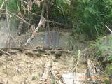 Tombstone of L (LIN2) family at Taiwan, Gaoxiongxian, Dashexiang, Dashelu. The tombstone-ID is 18132; xWAAjmAjALmӸOC