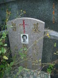 Tombstone of  (PAN1) family at Taiwan, Gaoxiongxian, Dashexiang, Guanyinshan. The tombstone-ID is 18159; xWAAjmA[sAmӸOC