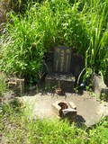 Tombstone of L (LIN2) family at Taiwan, Gaoxiongxian, Dashexiang, Guanyinshan. The tombstone-ID is 21761; xWAAjmA[sALmӸOC