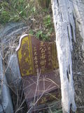Tombstone of  (WANG2) family at Taiwan, Miaolixian, Longgang. The tombstone-ID is 20072; xWA]߿AsAmӸOC