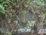 Tombstone of  (CAI4) family at Taiwan, Taibeixian, Shidingxiang, near exit from Highway 5. The tombstone-ID is 20125; xWAx_AmAaD5XfAmӸOC