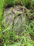 Tombstone of unnamed person at Taiwan, Tainanshi, Anpingqu, near nightmarket. The tombstone-ID is 616. ; xWAxnAwϡA]ALW󤧹ӸO