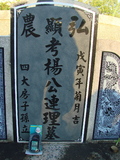 Tombstone of  (YANG2) family at Taiwan, Taidongshi, 3rd public cemetery. The tombstone-ID is 2721; xWAxFAĤTӡAmӸOC