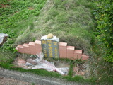 Tombstone of  (XIE4) family at Taiwan, Taoyuanxian, Longtanxiang, Public Graveyards with Linguta. The tombstone-ID is 23481; xWA鿤AsmAF𪺤ӡA©mӸOC
