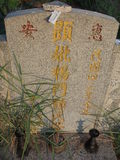Tombstone of  (YANG2) family at Taiwan, Jinmenxian, Jinningxiang, Jincheng graveyard behind Jinjiu Gongsi. The tombstone-ID is 23838; xWAAmAӶAbsqAmӸOC