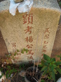Tombstone of  (YANG2) family at Taiwan, Jinmenxian, Jinningxiang, Jincheng graveyard behind Jinjiu Gongsi. The tombstone-ID is 23929; xWAAmAӶAbsqAmӸOC
