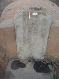 Tombstone of  (WANG2) family at Taiwan, Jinmenxian, Jinningxiang, Jincheng graveyard behind Jinjiu Gongsi. The tombstone-ID is 23959; xWAAmAӶAbsqAmӸOC