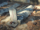 Tombstone of  (LI3) family at Taiwan, Jinmenxian, Jinshazhen, Jinsha Public Cemetery. The tombstone-ID is 24753; xWAAFAFӡAmӸOC