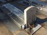 Tombstone of L (LIN2) family at Taiwan, Jinmenxian, Lieyuxiang, Lieyu Public Graveyard. The tombstone-ID is 24918; xWAAPmAPӡALmӸOC