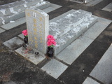 Tombstone of  (YANG2) family at Taiwan, Jinmenxian, Lieyuxiang, Lieyu Public Graveyard. The tombstone-ID is 25014; xWAAPmAPӡAmӸOC