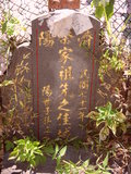 Tombstone of  (CAI4) family at Taiwan, Taibeixian, Ruifangxiang, Jiufen, above village. The tombstone-ID is 25806; xWAx_AڶmAEAWAmӸOC