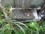 Tombstone of  (TAN2) family at Taiwan, Tainanshi, Dongqu, Yuyonglu. The tombstone-ID is 26430; xWAxnAΥøAөmӸOC