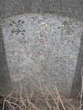 Tombstone of  (YANG2) family at Taiwan, Tainanxian, Shanhuazhen, 6th graveyard. The tombstone-ID is 26695; xWAxnAAĤӡAmӸOC