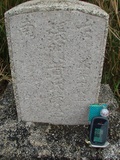 Tombstone of i (ZHANG1) family at Taiwan, Tainanshi, Nanqu, Tongpanqian Cemetery. The tombstone-ID is 4510; xWAxnALLAimӸOC