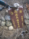 Tombstone of d (WU2) family at Taiwan, Taizhongxian, Xinshexiang, Huashan Zhong93. The tombstone-ID is 27157; xWAxAsmAؤsA93mDǡAdmӸOC