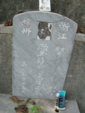 Tombstone of  (HAN2) family at Taiwan, Gaoxiongxian, Mituoxiang, small military cemetery west of Highway 17. The tombstone-ID is 3510; xWAAmAx17@BpxHӶAmӸOC