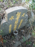 Tombstone of  (ZHUANG1) family at Taiwan, Nantouxian, Guoxingxiang, 1st public graveyard. The tombstone-ID is 28460; xWAn뿤AmmAĤ@ӡAmӸOC
