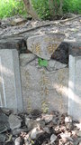 Tombstone of 林 (LIN2) family at Taiwan, Jiayixian, Xingangxiang, Xingangcun, 1st public graveyard. The tombstone-ID is 27241; 台灣，嘉義縣，新港鄉，新港村，第一公墓，林姓之墓碑。